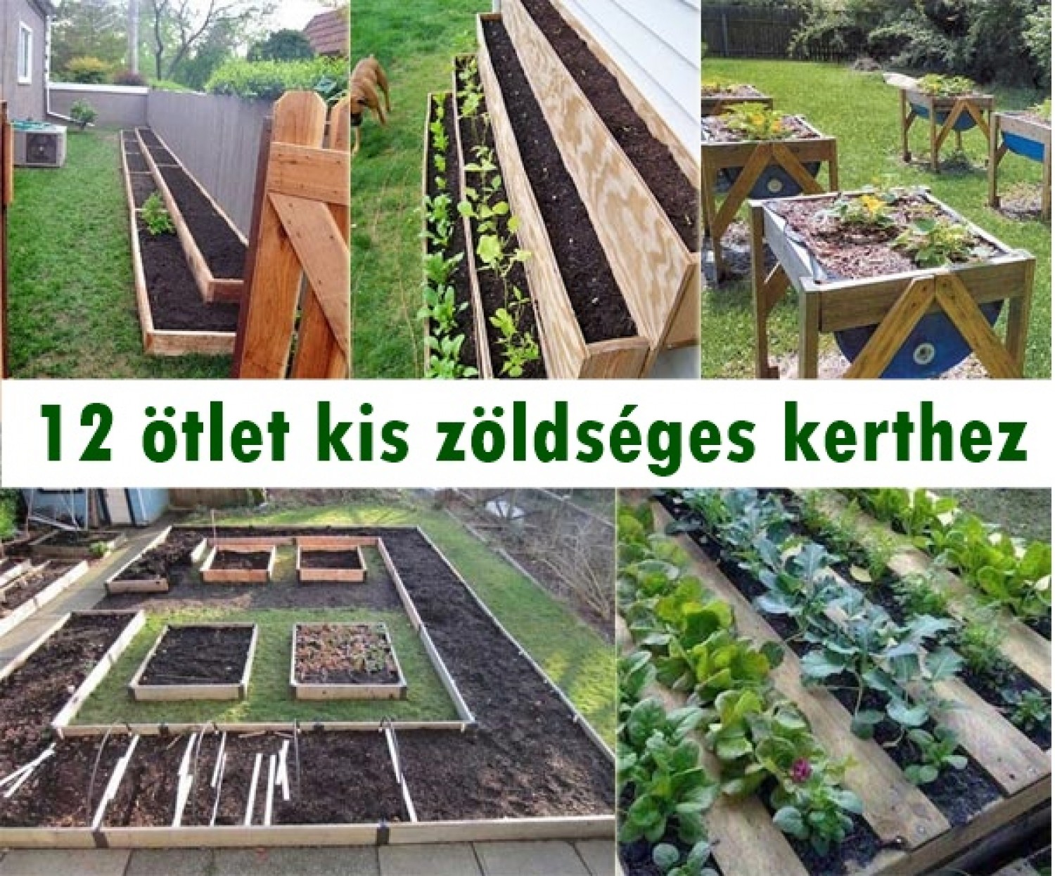 12 ötlet kis zöldséges kerthez
