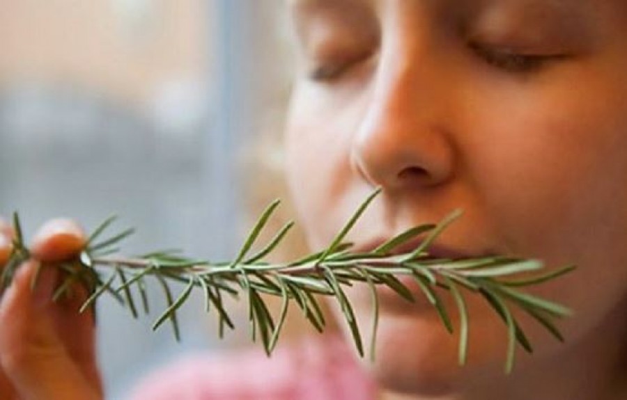 Egy közismert fűszernövény, aminek az illata javítja a memóriádat