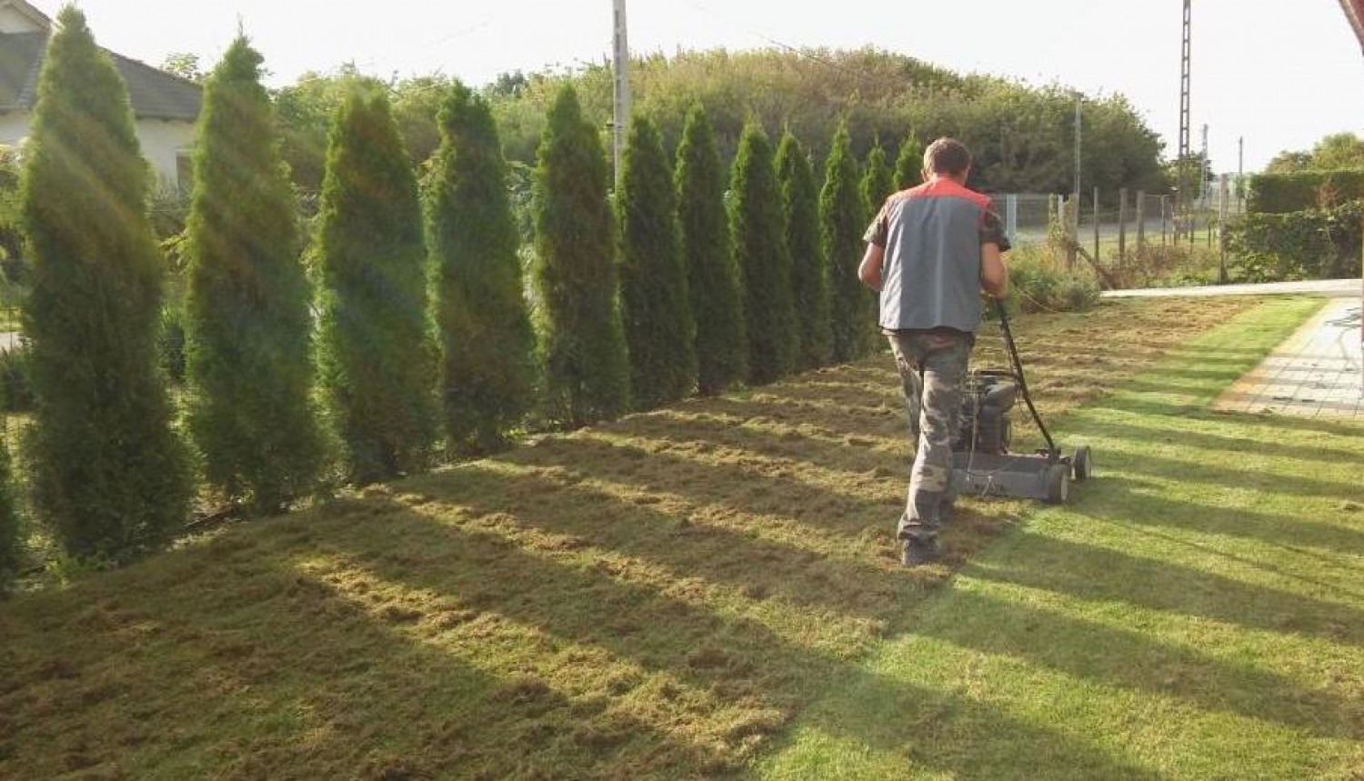 A gyeppel kapcsolatban is komoly feladatok várnak a Kertbarátokra ősszel!