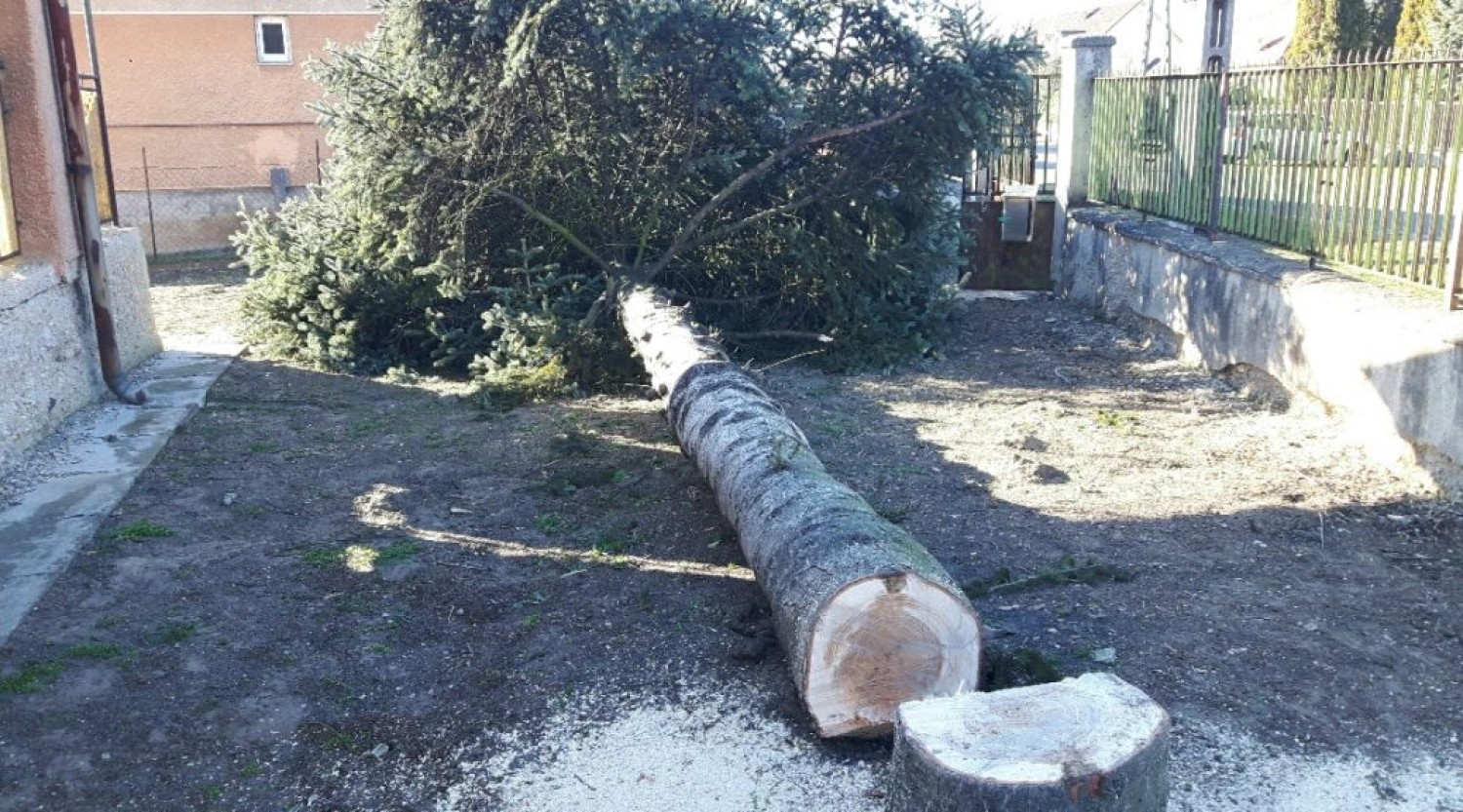 Elszálltak az árak a kertészeti munkáknál  - főleg a fakivágásnál!