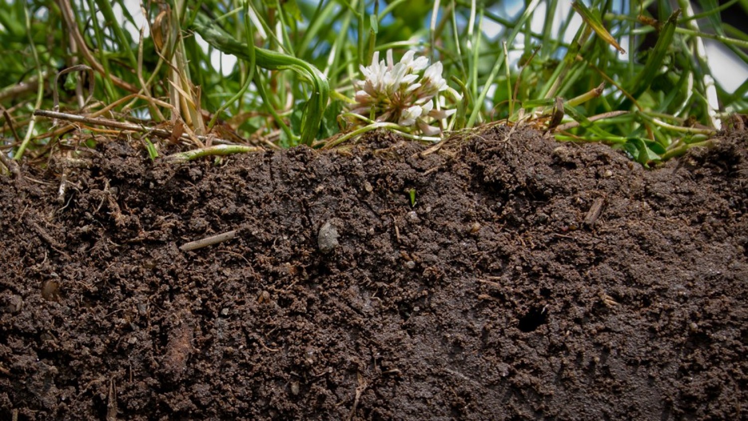 Talajgyógyítás - a megbomlott talajélet egyensúly helyreállítása