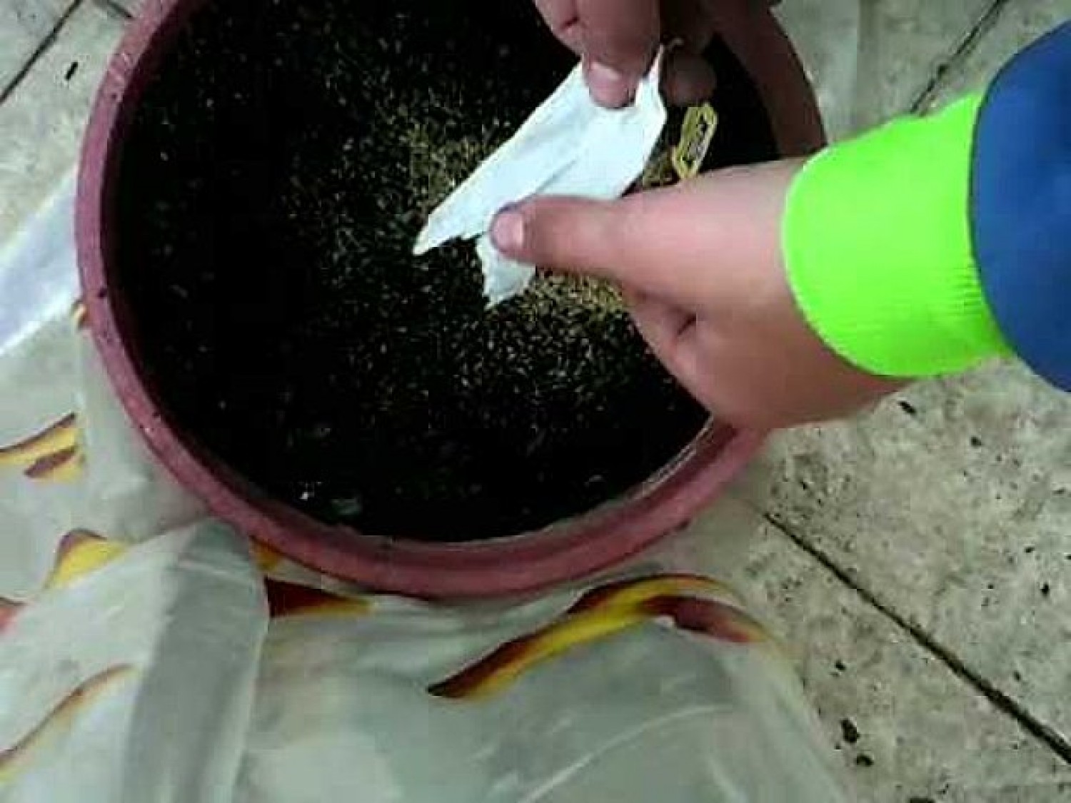 A kisujjunk hosszúsága sok mindent meghatároz! Nem is gondoltuk volna!
