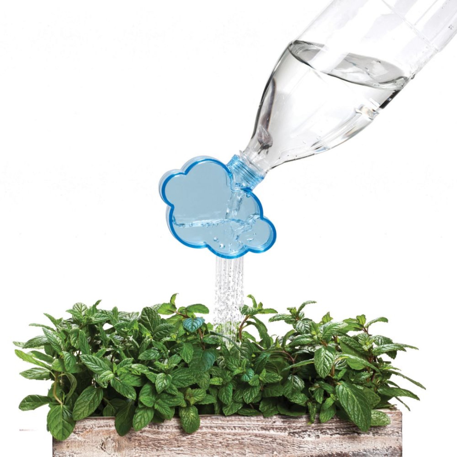 Így állapíthatjuk meg a növény szárából, hogy mennyi vízre van szüksége