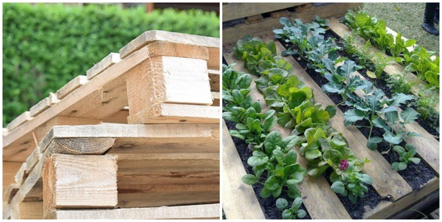 Raklap ágyás - nagyon jó választás sok növénynél