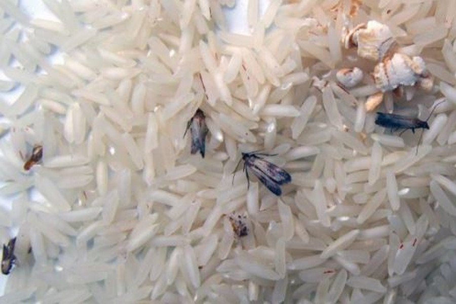 A kisujjunk hosszúsága sok mindent meghatároz! Nem is gondoltuk volna!