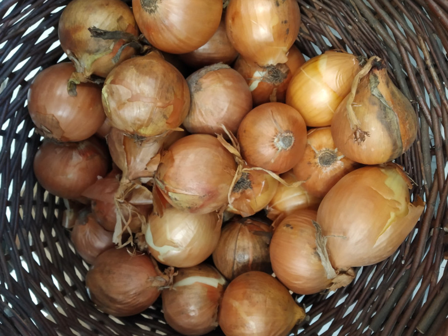 Vöröshagymakrém házilag