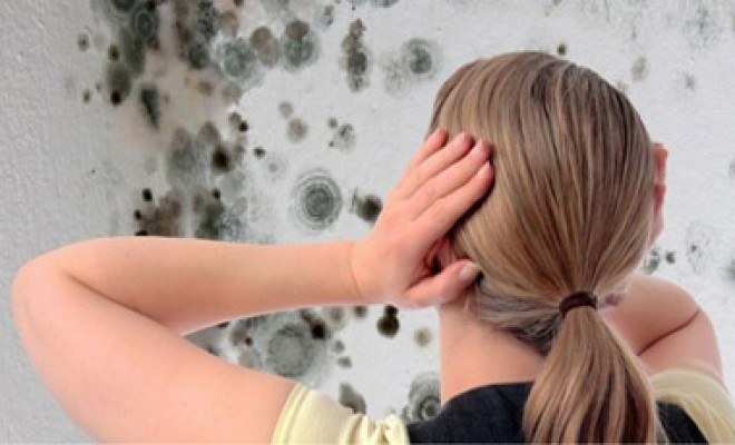 Többé nem lesz penész a faladon, ha ezt fújod rá