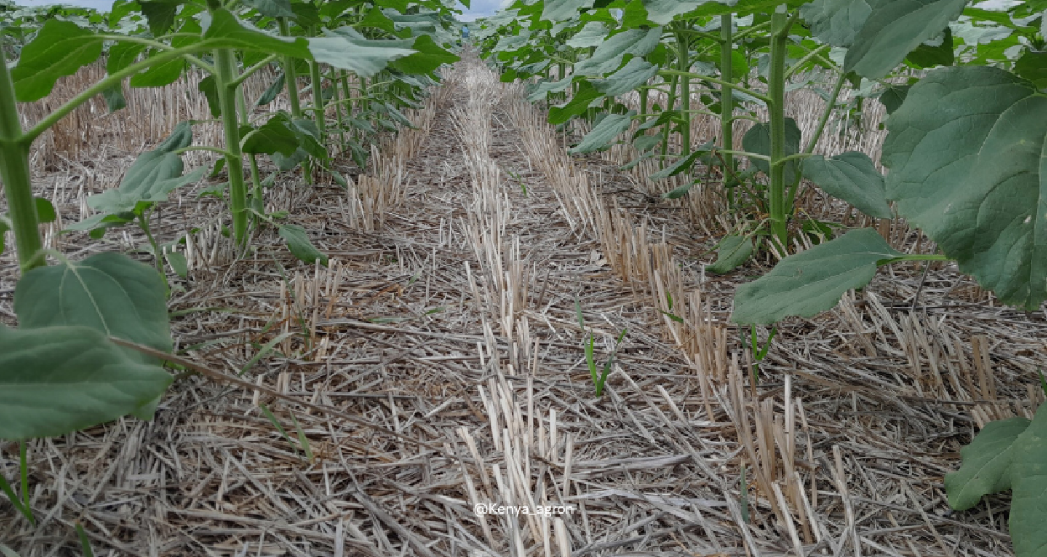 A kisujjunk hosszúsága sok mindent meghatároz! Nem is gondoltuk volna!