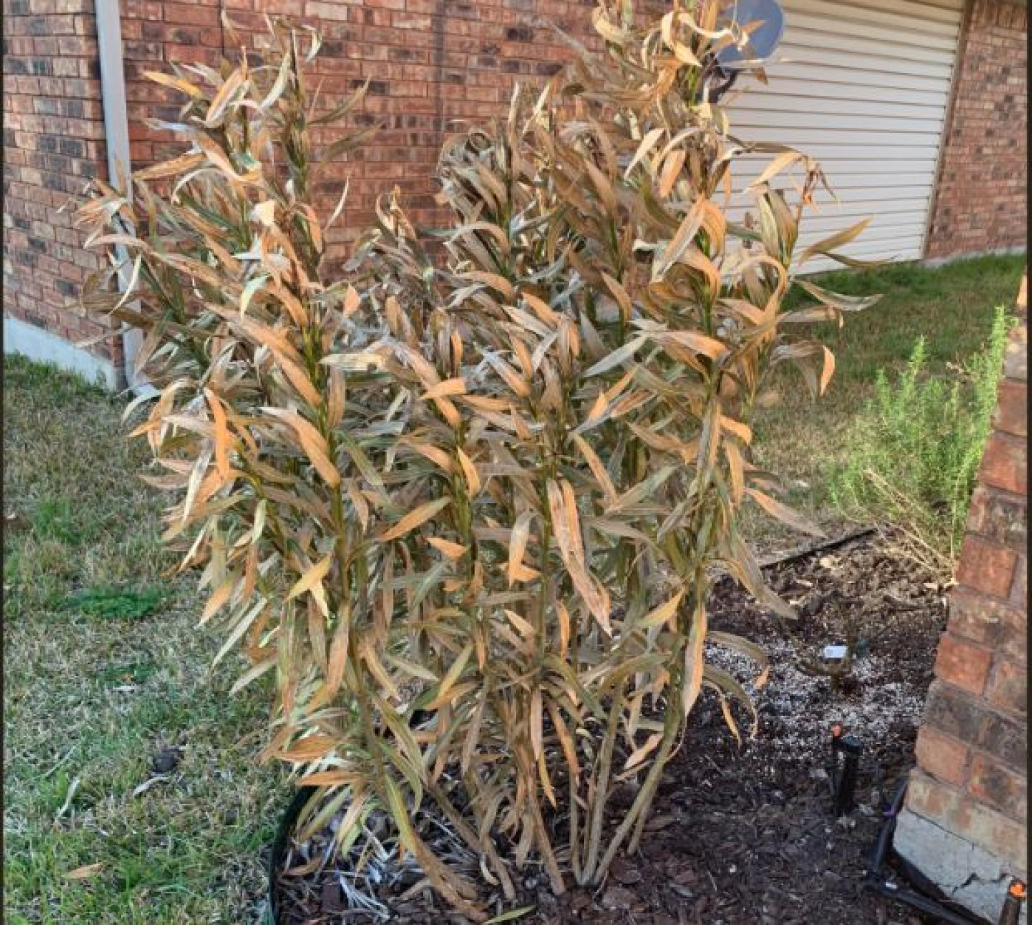 A kisujjunk hosszúsága sok mindent meghatároz! Nem is gondoltuk volna!