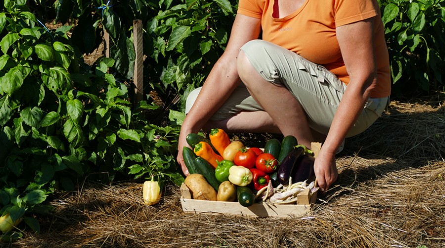 Mit jelent és mit nem jelent a biotermesztés?