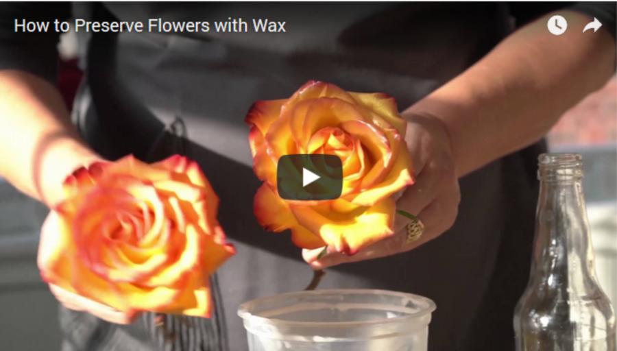 Ezzel a remek ötlettel hosszú időre megőrízhetjük a vágott virágok szépségét!