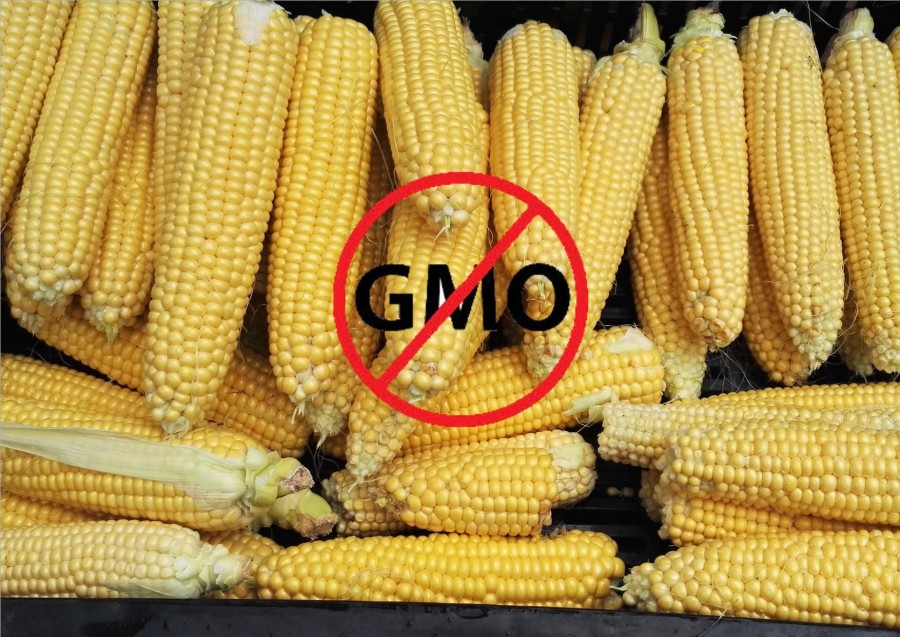 Bioban TILOS a GMO